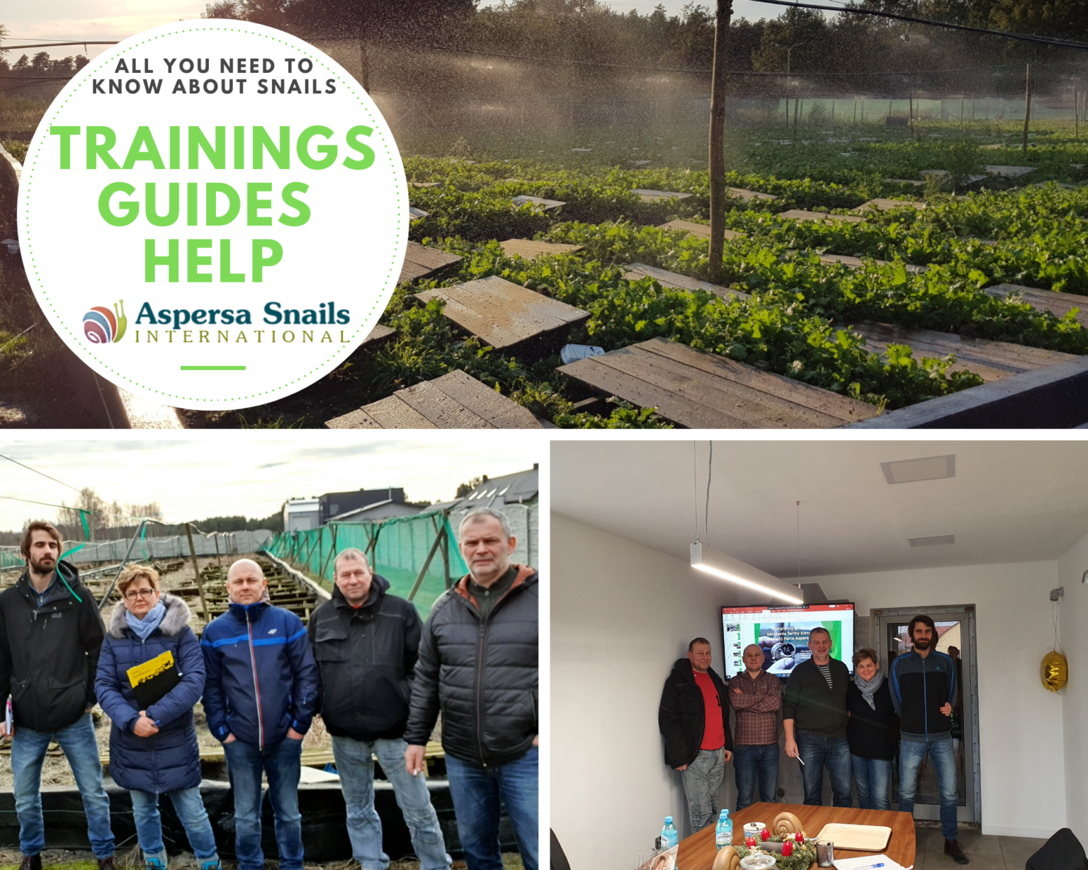 Snail Program Complex 1-day Snail Farming Training | Aspersa Snails International